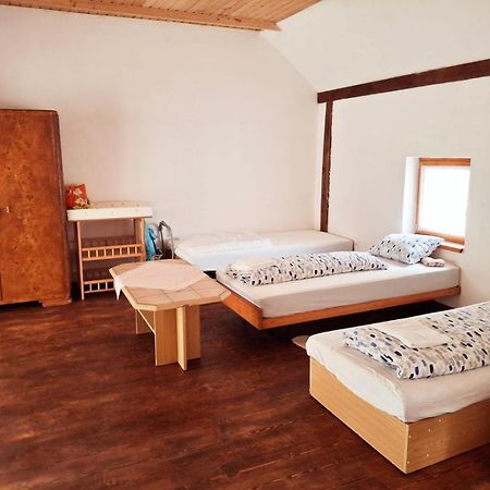Vila Hedvika Nove Hrady  ภายนอก รูปภาพ