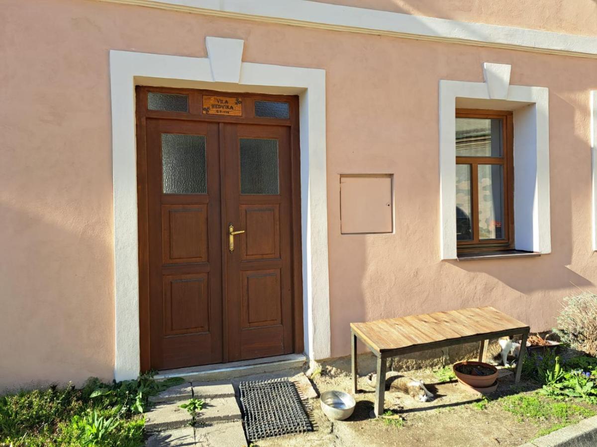 Vila Hedvika Nove Hrady  ภายนอก รูปภาพ