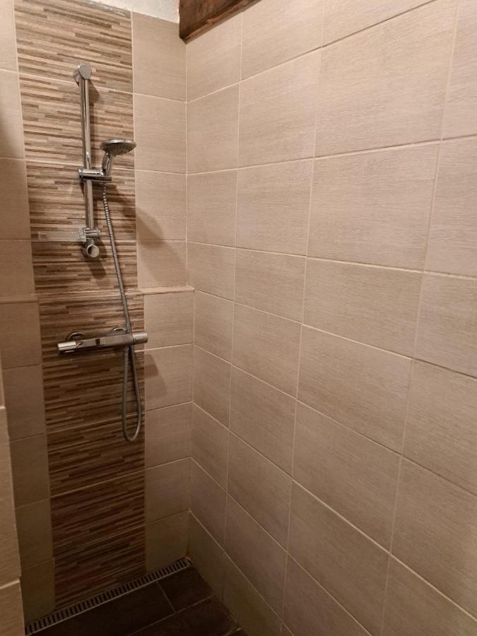 Vila Hedvika Nove Hrady  ภายนอก รูปภาพ